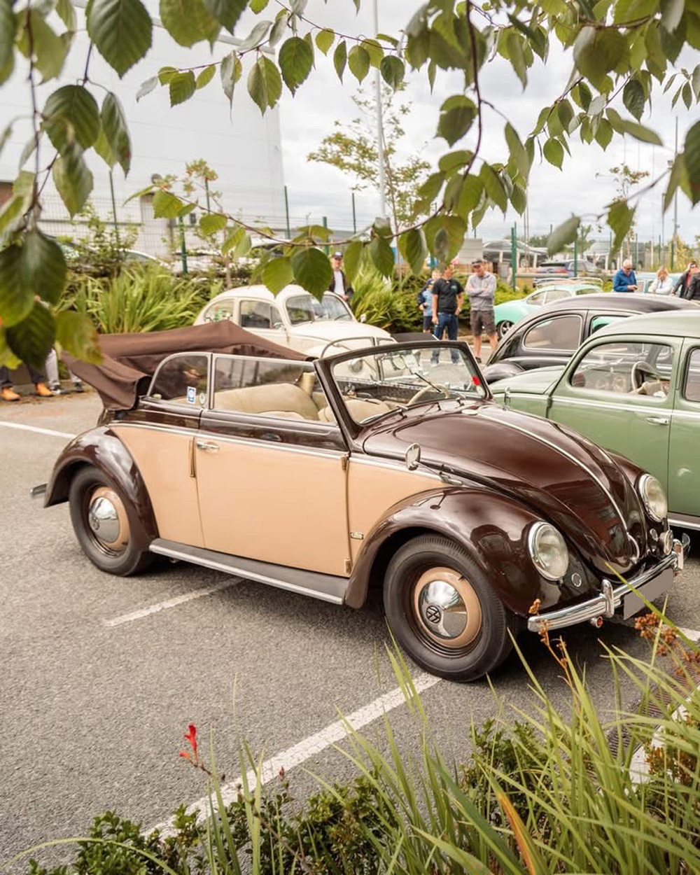 VW Type 1 Convertible in a two-tone finish