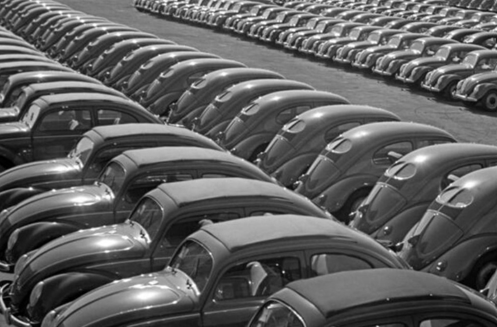 Lines 
        of new split-window Volkswagens sparkle in the sunshine